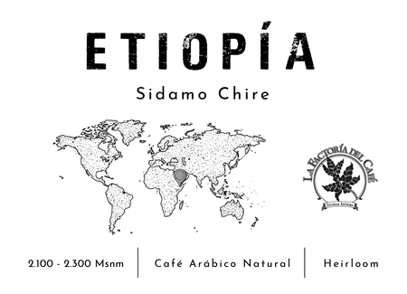 Café de Especialidad 'Etiopía'